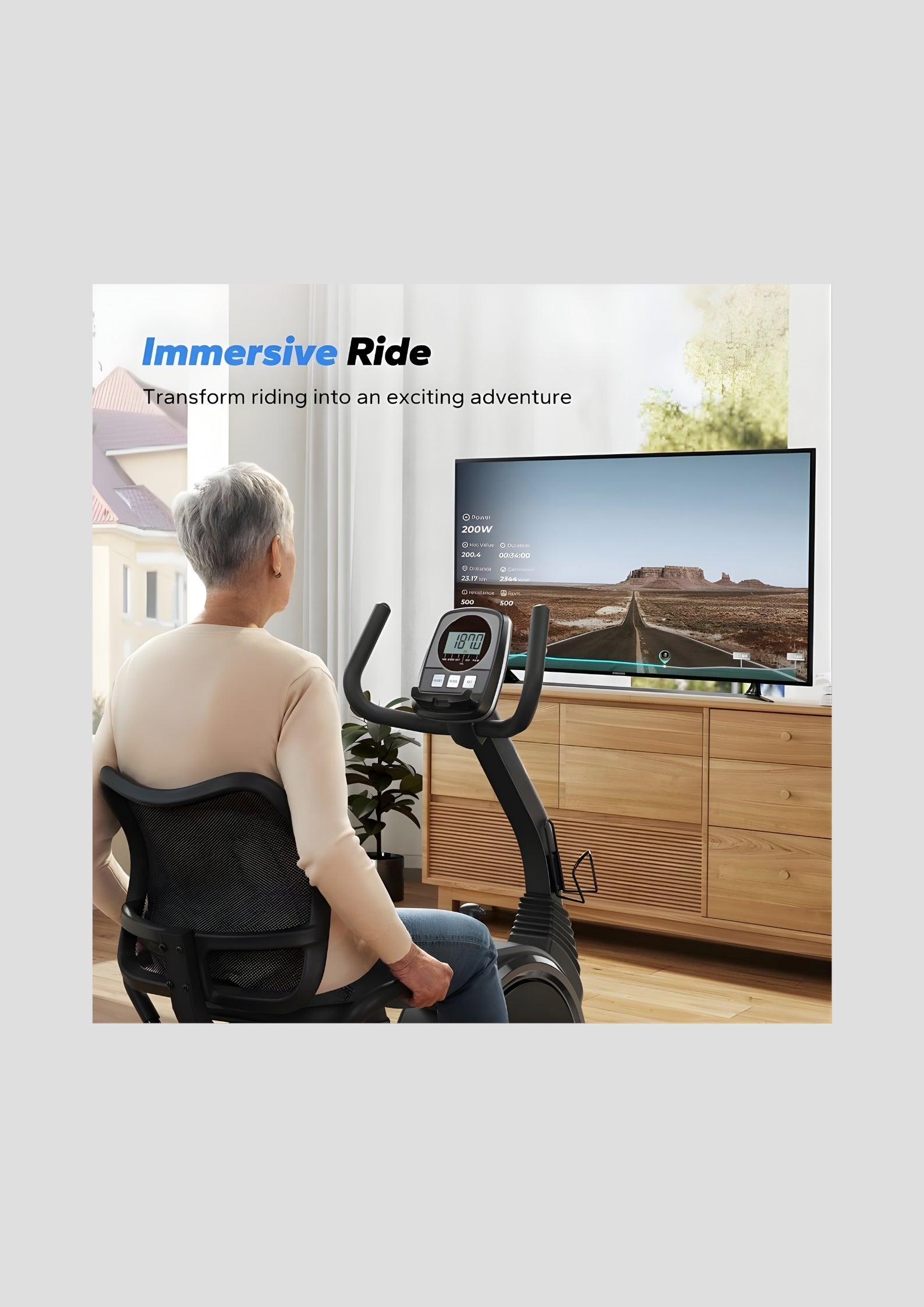 S19 Recumbent Exercise Bike for Home